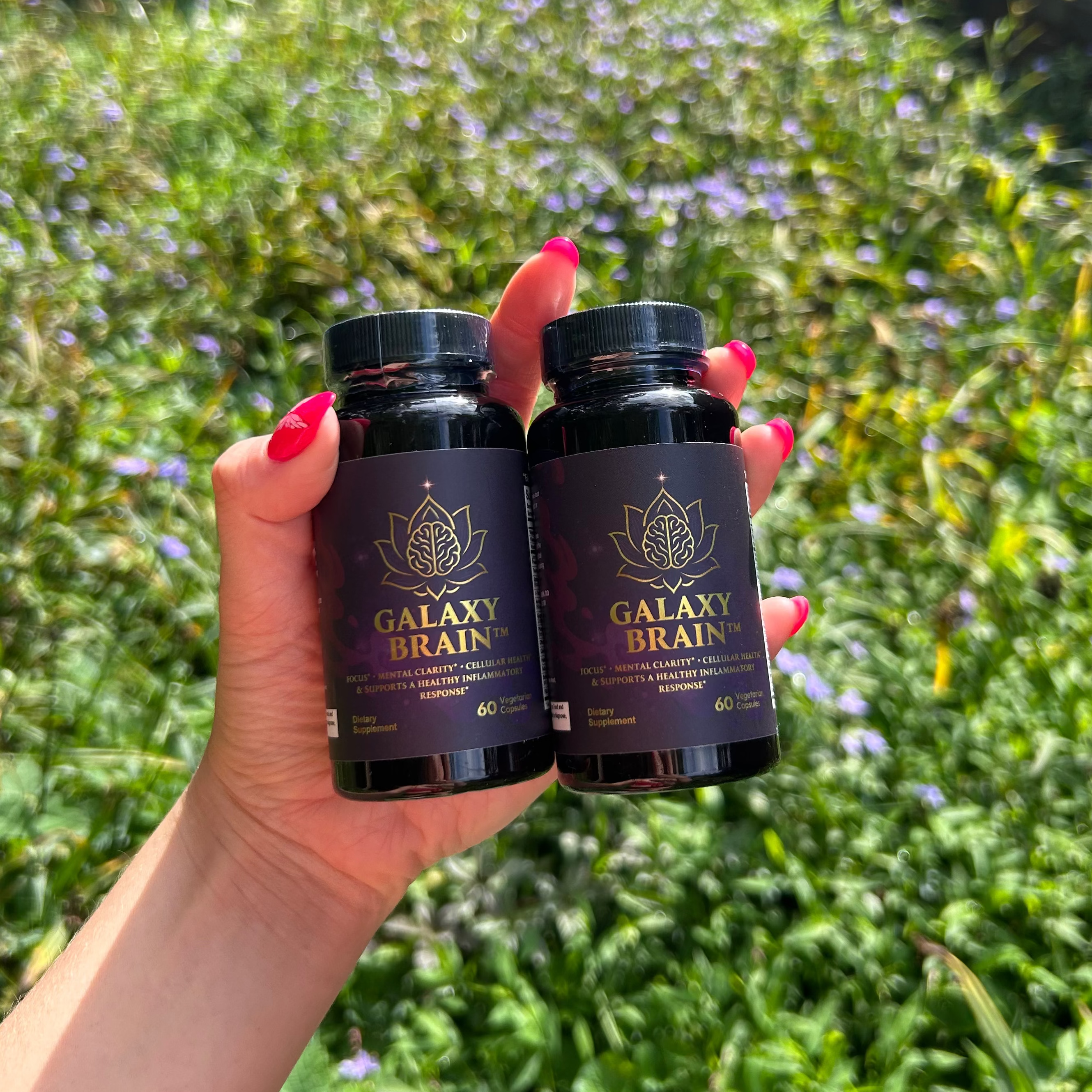 Galaxy Brain 2 Bottle Bundle!